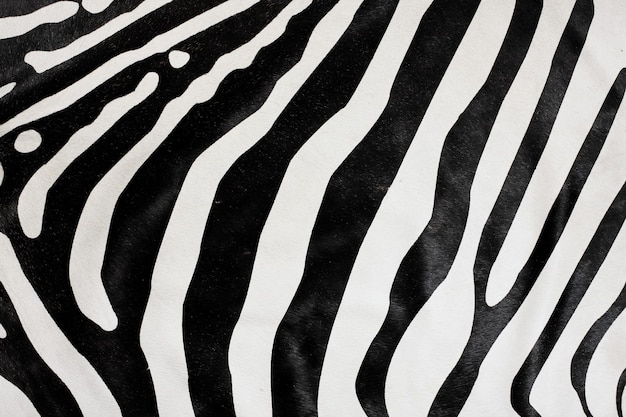 Photo balck and white zebra natural fur background