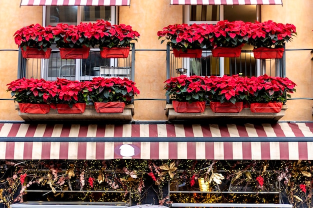 Balconies of homes decorated with red flowers for christmas