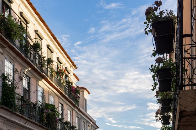 Balconies with greenery and flowers in a European city