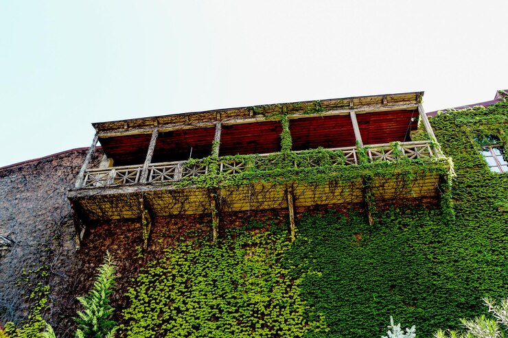 फोटो balcony of a traditional georgian houses made of wood in tbilisi
