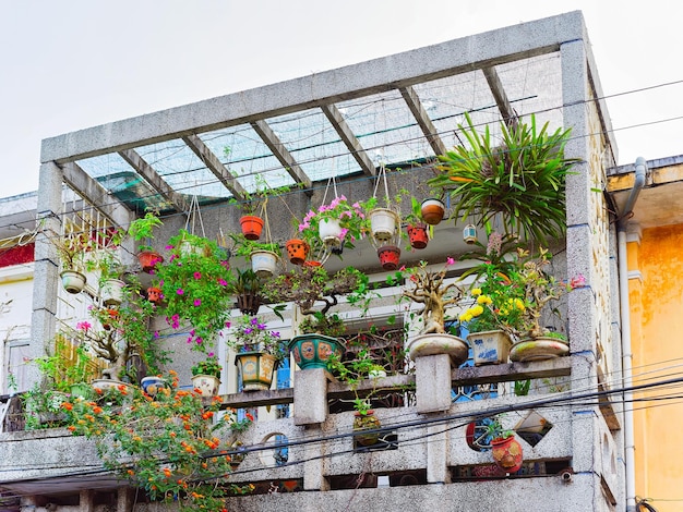 Balcony with flowers in the building in Hoi An, Vietnam