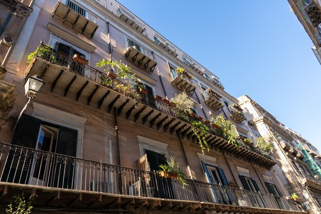 鉢の植物と空の景色のバルコニー