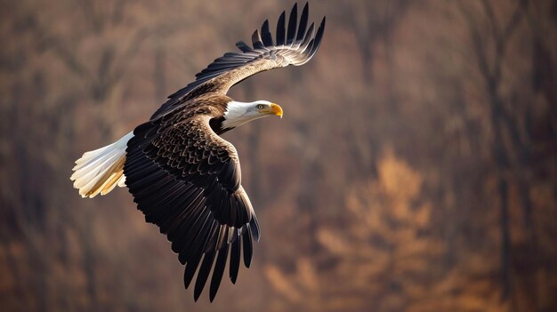 Bald eagle soaring over Bald eagle landing swoop attack AI Generative