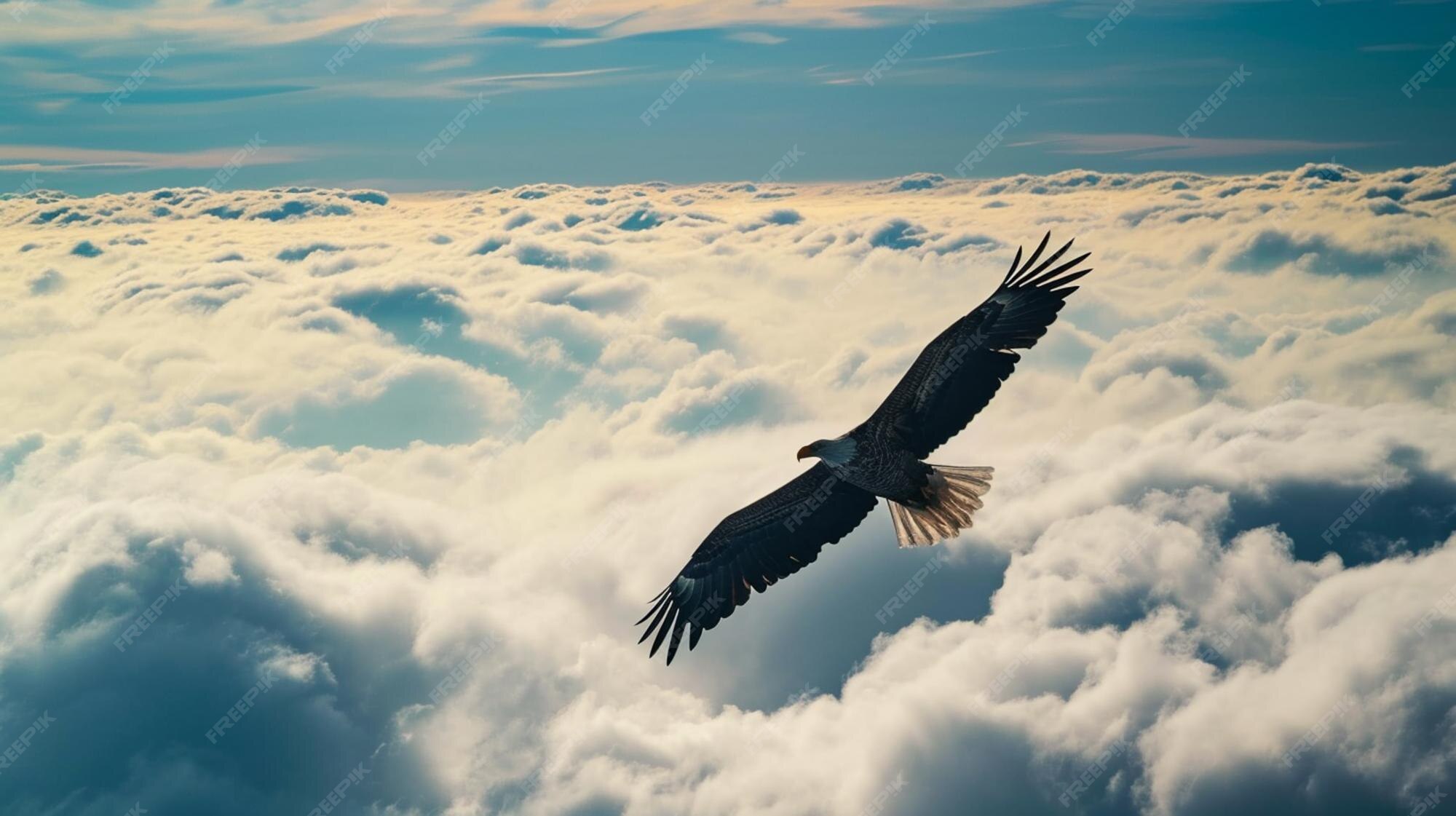 Premium Photo | A bald eagle soaring majestically through the air Eagle 