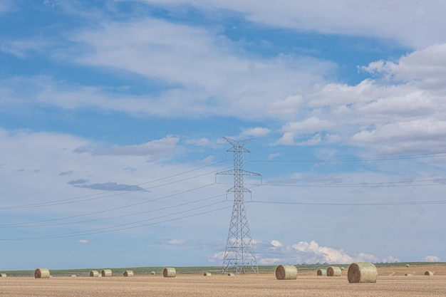 Bale of Hay on Farm field in Alberta