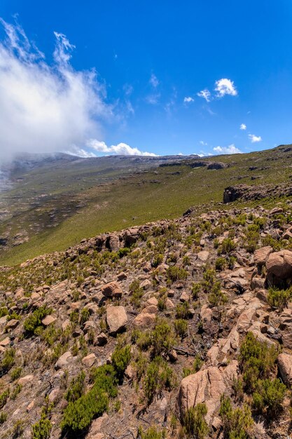 Photo bale mountain landscape ethiopia