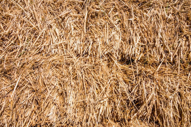 Bale of straw texture background Abstract wallpaper