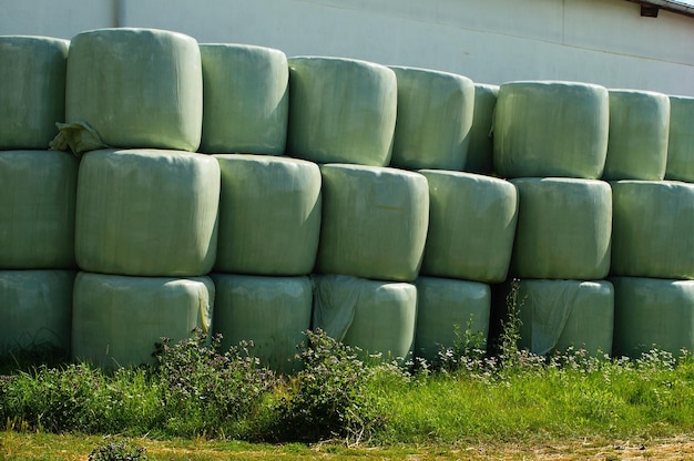 Baled silage on a farm