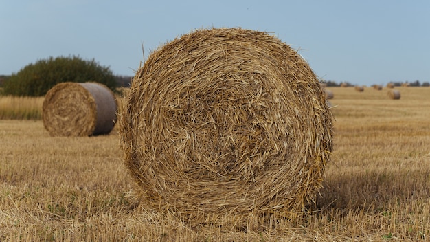 Balen hooi op een boerderij met zomer blauwe hemel.