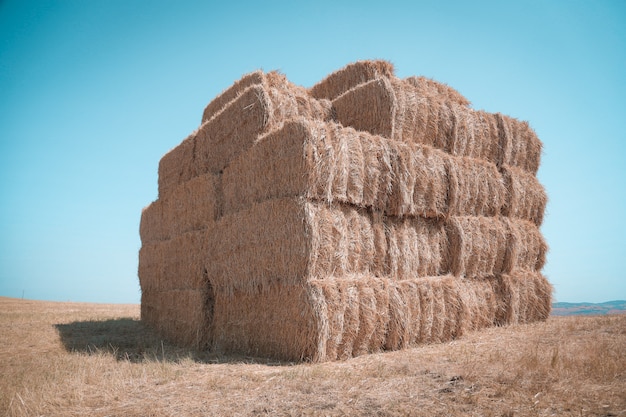 Bales in the countryside