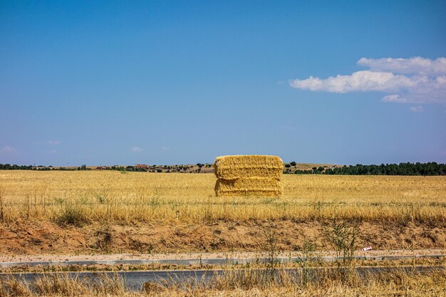 Bales of hay in field and beautiful blue sky