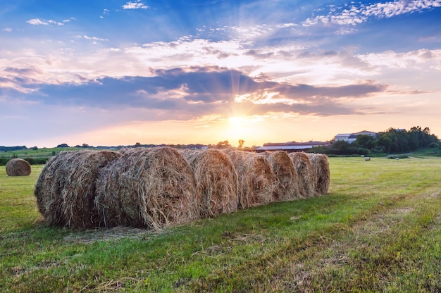 Bales of hay on the field at sunset