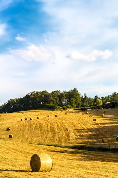 Bales of hay in Tuscany 