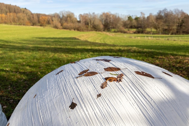 Bales of hay wrapped in film on an empty pasture closeup