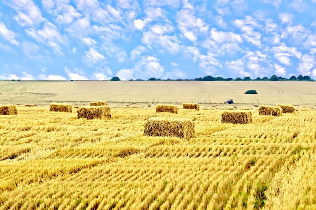 Bales of straw rectangular