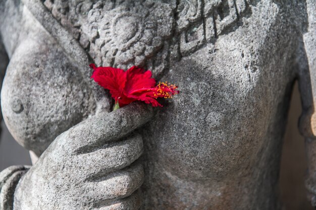 Bali flower