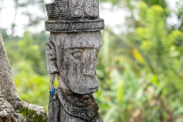 Balinese ancient wooden statue on street in ubud island bali\
indonesia these figures of the gods protect the house from evil\
spirits closeup