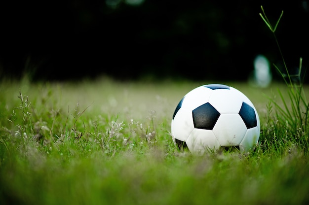 The ball on the grass in the green field on the football field ready for the penalty. And 