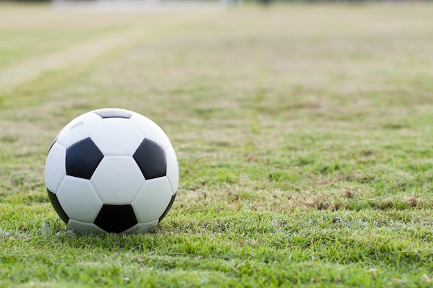 ball in grass.