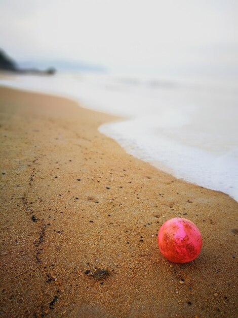 ball on shore at beach