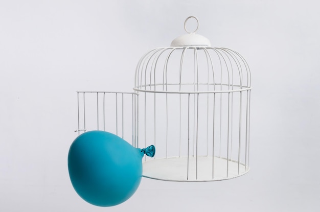 Balloon deflating to escape from a cage