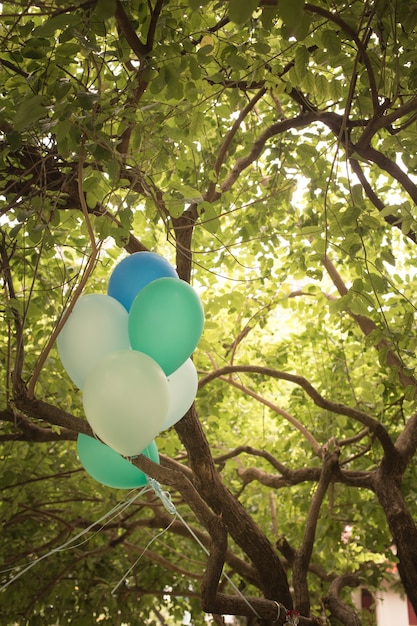 Foto pallone nel tono di colore dell'annata del fondo dell'albero.