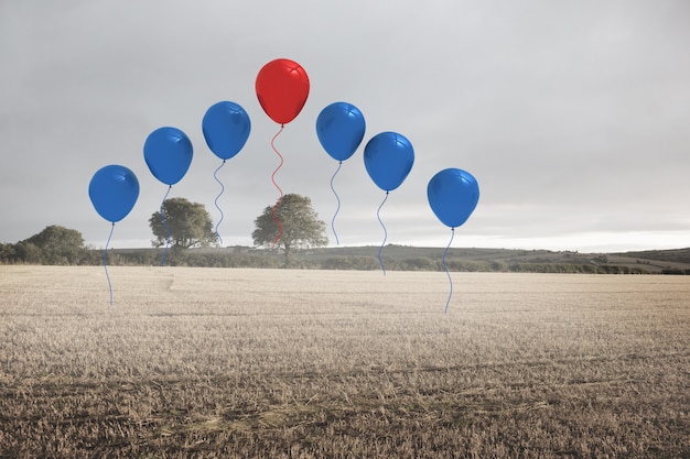 Foto palloncini sopra un campo