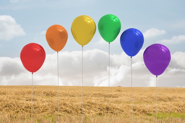 Balloons above a field