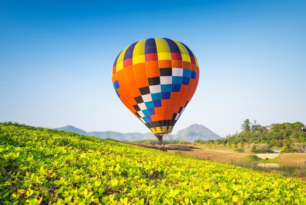 Photo balloons flying air over the singha park international balloon festival in chaing rai thailand