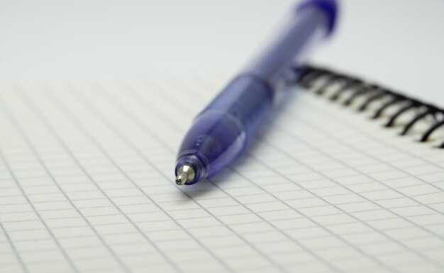 ballpoint pen lies on a sheet of notebook