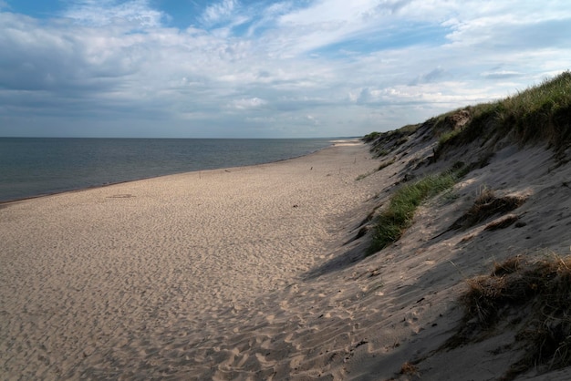 Baltic Sea coast on the Curonian Spit on a sunny summer day Kaliningrad region Russia