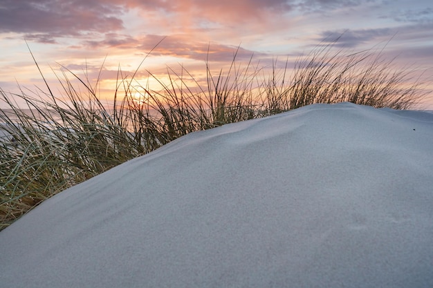 Baltic sea and dunes at sunset
