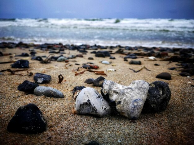 Foto amore per il mar baltico