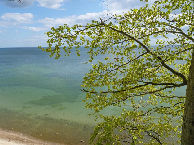 Foto al mar baltico in polonia