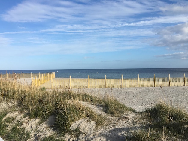 Foto primavera del mar baltico germania