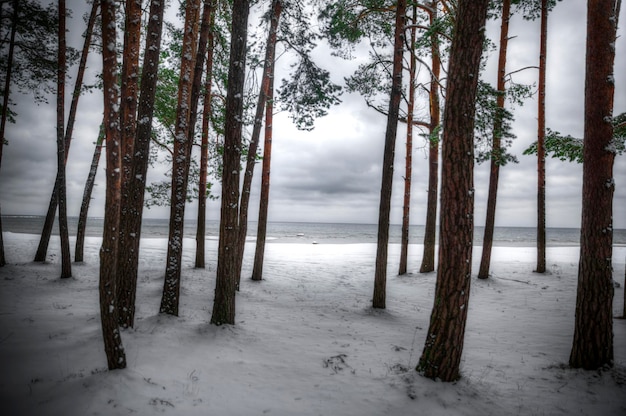 Baltic sea view