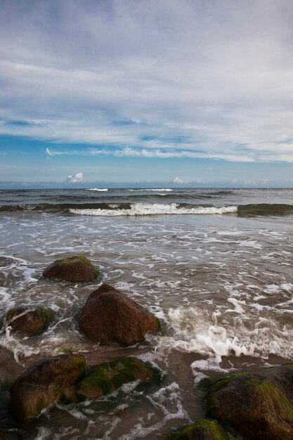   baltic sea  