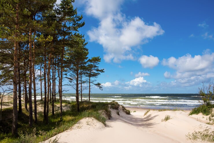 Foto baltische kust in letland