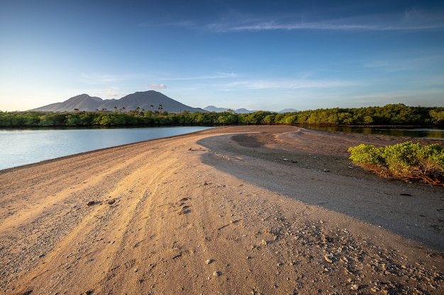 baluran nationaal park