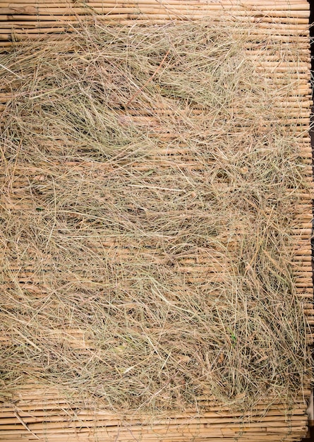 Bamboe achtergrond, hooi op bamboe, boerderij