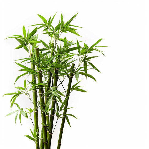 Bamboe boom blad plant stengel en stok 3d bamboe boom Ai Generatieve