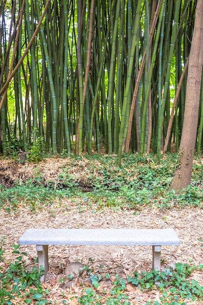 Bamboe botanische tuin. handig concept voor zen, milieu en groen leven.