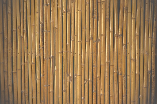 bamboe hek achtergrond Film stijl