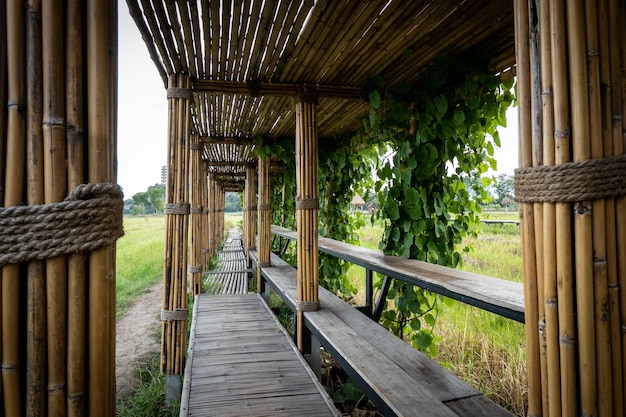 Bamboe tunnel en brug lopen weg naar het rijstveld.