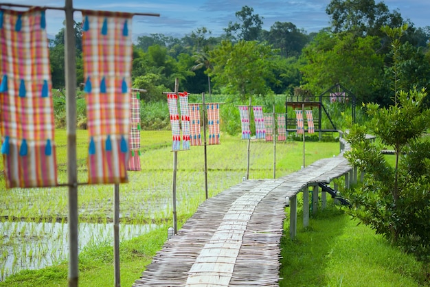 Bamboebrug over het rijstveld bij Homestay in the forest House in Chiang Dao thailand