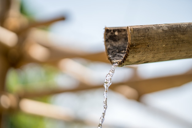 Bamboefontein met water