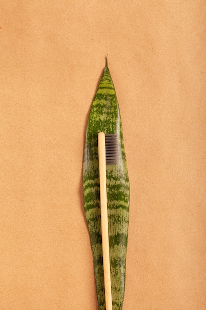 Bamboetandenborstel op een groen blad op een achtergrond van ambachtdocument. bovenaanzicht