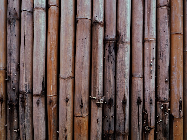 写真 竹の背景