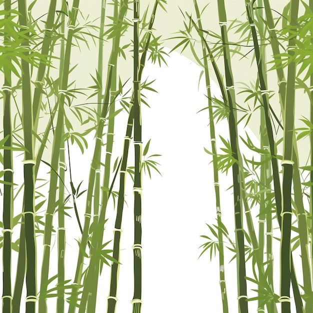 Foto bamboo clip art illustratie