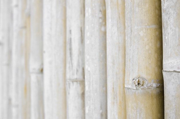 bamboo dry wood background with space